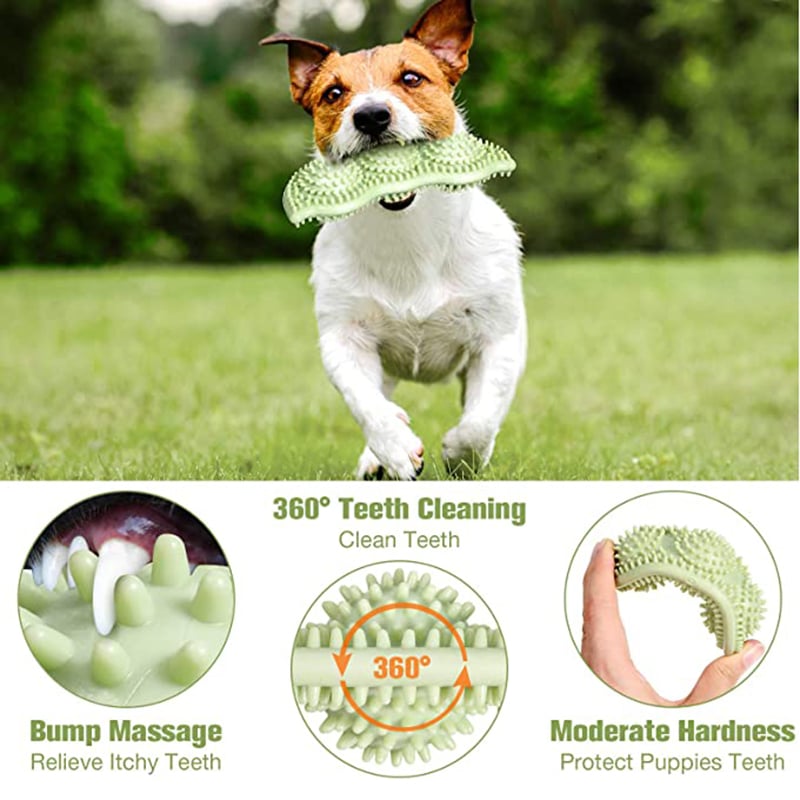 Bola de Juguete para Perros Resistente a Mordidas para Masticar Interactivamente